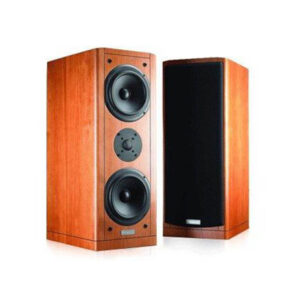 加拿大波耳星 POLESTAR V-B1 落地式喇叭 原木系列 配對木紋